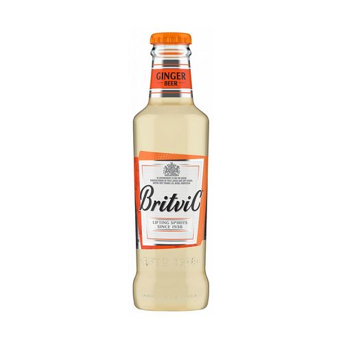 Bebida Giner Ale Britvic 200ml