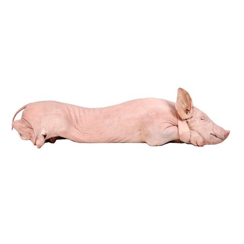 Lechon Entero Congelado - 10,5kg Aprox