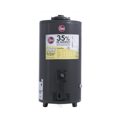 Termotanque  Gas Natural 80 l De Pie tgnp080rh Rheem