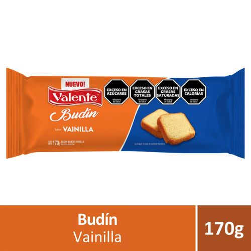 Budin Valente Vainilla X170g