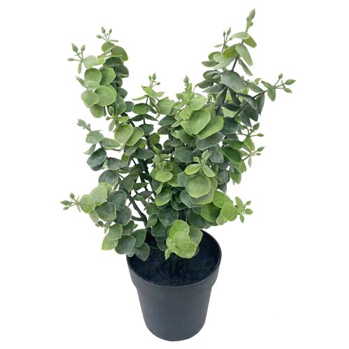 Planta En Maceta Diseño 6 Krea