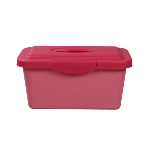 Caja Org 6l  Bicolor  Krea 1un